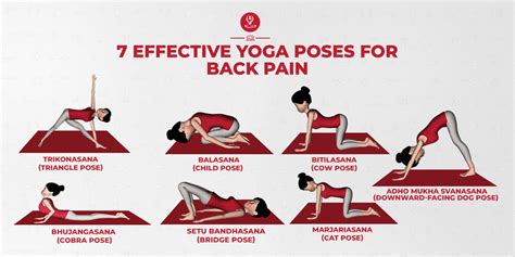 Top 6 Yoga Poses For Back Pain