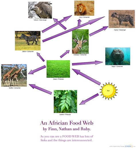Learning Hub 3 2013 @ Stonefields School: Food Chains and Food Webs!