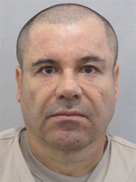 Fugitive Mexican Drug Kingpin El Chapo Captured Hot Sex Picture