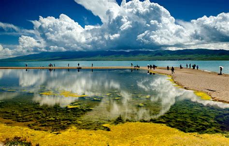 Qinghai Lake Kokonor Lake Qinghaihu Bird Island