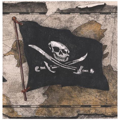 Pirate Flag Wallpapers Top Free Pirate Flag Backgrounds Wallpaperaccess