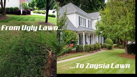 Ugly Lawn To Zoysia Lawn Ep1 Youtube