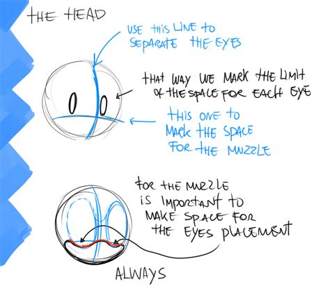 Sonic New Anatomy One By Drawloverlala How To Draw Sonic Sonic Art