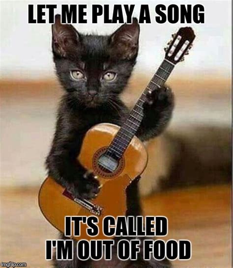 Image Tagged In Memes Cats Music Imgflip