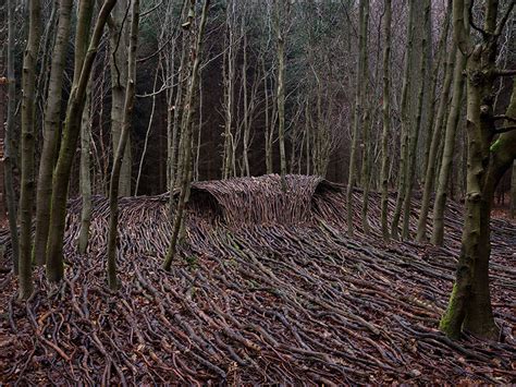 jörg gläscher builds 9 massive deadwood waves in a forest near hamburg