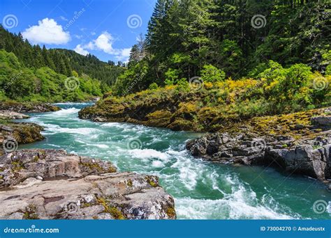 Mountain River And Forest In North Cascades National Park Washington