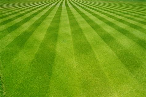 Perfectly Striped Freshly Mowed Garden Lawn Landmaster Outdoor Services