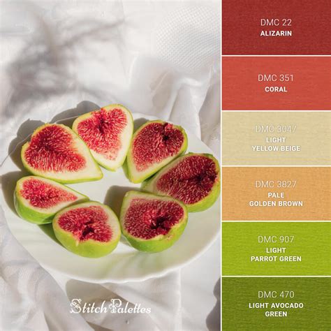 Fig On Plate Embroidery Color Palette With Thread Codes