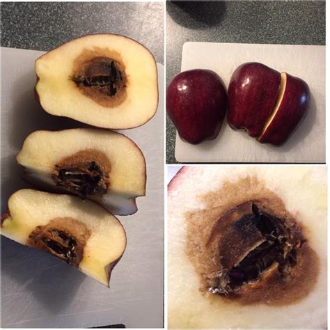This Apple That Is Perfect On The Outside But Rotting From The Inside