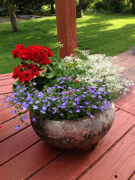 Red White And Blue Planter The Onset Of Springs Abundance Captured In