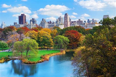 Beautiful Summer Day Central Park New York City Traveller Reviews