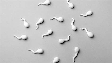 Is It Healthy To Eat Sperm Read All Faqs Bodywise
