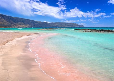 The Best Pink Beaches In The World
