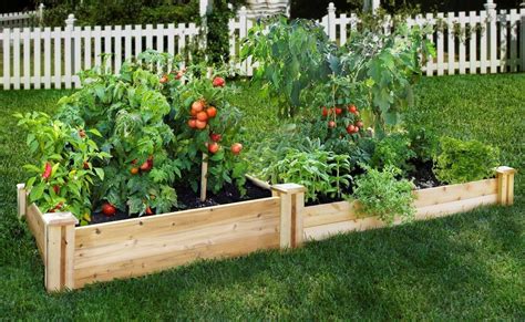 Why not turn that hobby into a business venture by growing vegetables steps to prepare soil for vegetable garden knowing how to prepare soil for vegetable garden is a good start in creating an organic vegetable garden. How to Start a Vegetable Garden - How to Grow Vegetables