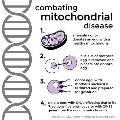 to treat mitochondrial disease mothers know best the daily free press