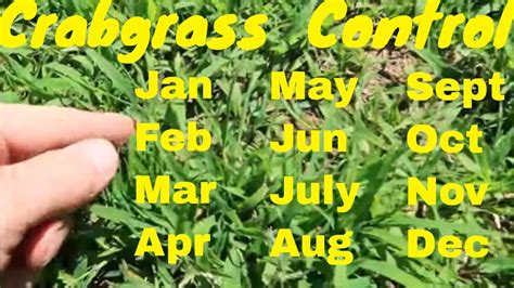 It will die by itself as the weather cools off. Crabgrass Control - How to Get RId of Crabgrass in Your ...