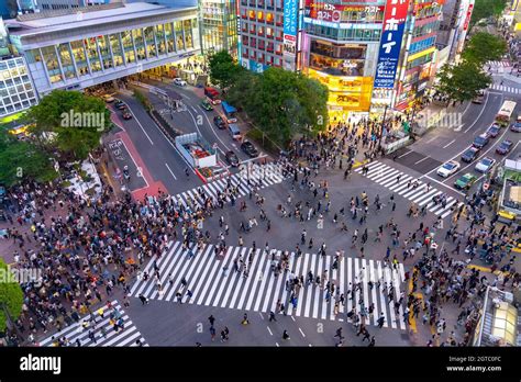 Pedestrians Crosswalk At Shibuya District In Tokyo Japan The Busiest
