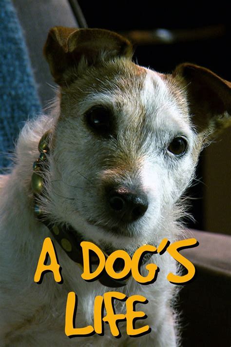 A Dogs Life Rotten Tomatoes