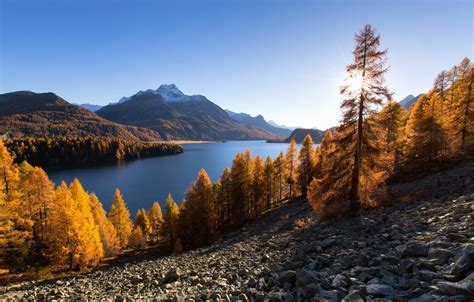 Wallpaper Autumn Trees Mountains Lake Switzerland