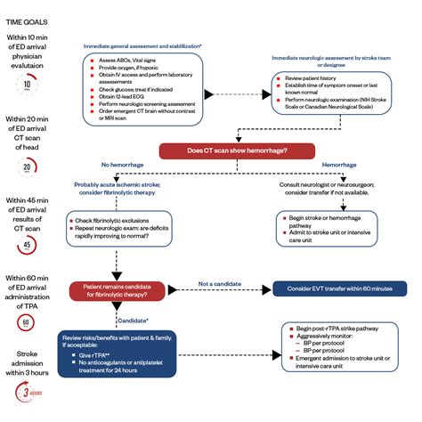 American Heart Association Acls Algorithms And Protocols 2023