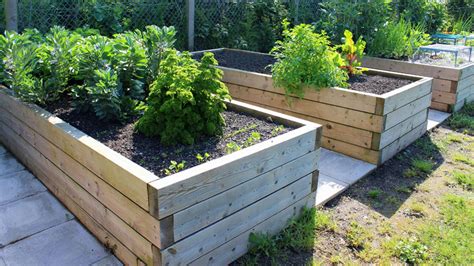 Get the Most Out Of Your Raised Bed Garden | Fox News