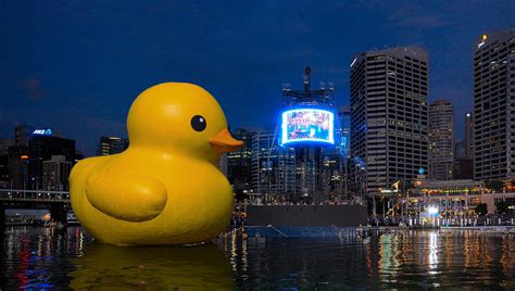Florentijn Hofmans Giant Rubber Duck At Sydney Festival 2013