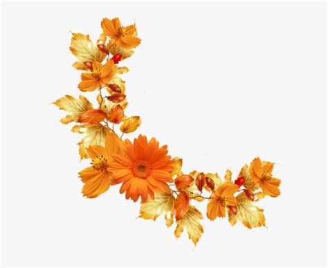 Download Orange Floral Border Png Image Background Orange Flower