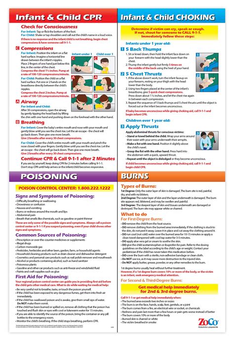 First Aid Poster For Infants And Children Laminated 12 X 18 In