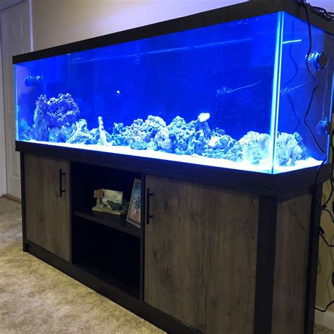 125 Gallon Fish Tank Glass Lid Wese Aquarium Fish