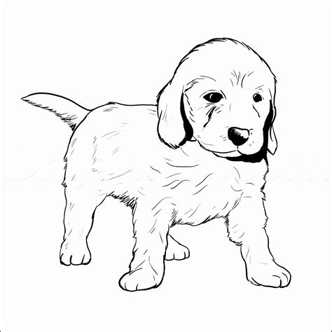 Als puppyeigenaar wil je graag uitvinden wat je pup nou echt lekker vindt. kleurplaat golden retriever pup - 28 afbeeldingen