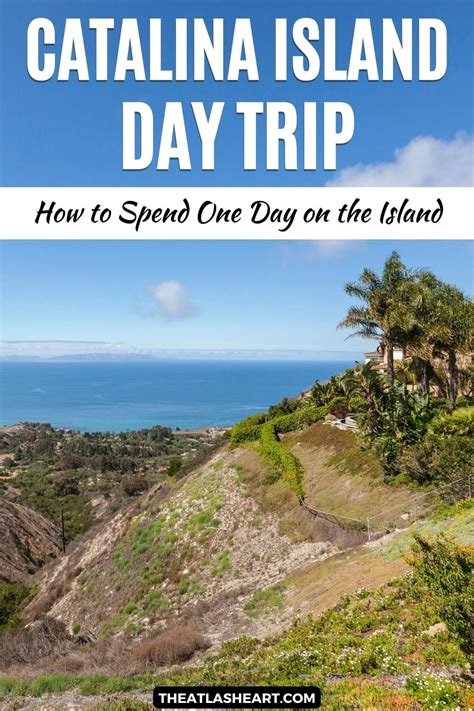 The Perfect Catalina Island Day Trip How To Spend One Day