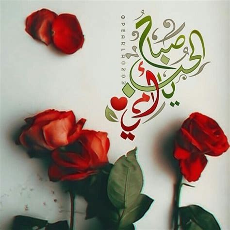 صباح الخير ياأمي Arabic Typing Chicken Art Night Wishes Good Morning Good Night Beautiful