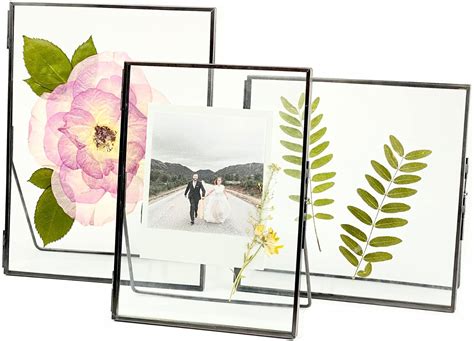Beedecor Double Glass Frame For Pressed Flowers Leaf And Artwork Gold 6x6