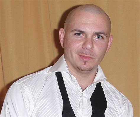 Pitbull Biography Pitbull Rapper Pitbull Albums Pitbulls