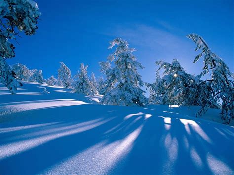 Free Winter Backgrounds Wallpapers Wallpaper Cave