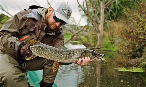 The 5 Best Places To Fly Fish In Massachusetts Massachusetts Office