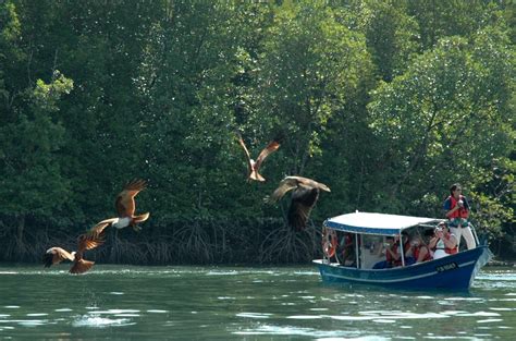 The biggest annoyance on langkawi will be the. 3 Days 2 Nights Langkawi Mangrove Tour + Free & Easy ...