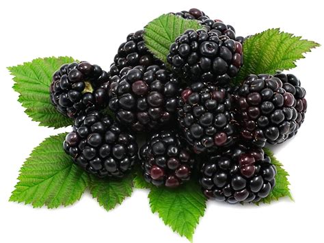 Blackberry Fruit Png Download Image Png Arts