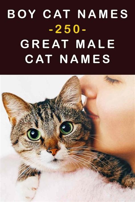 Names For Cats Male