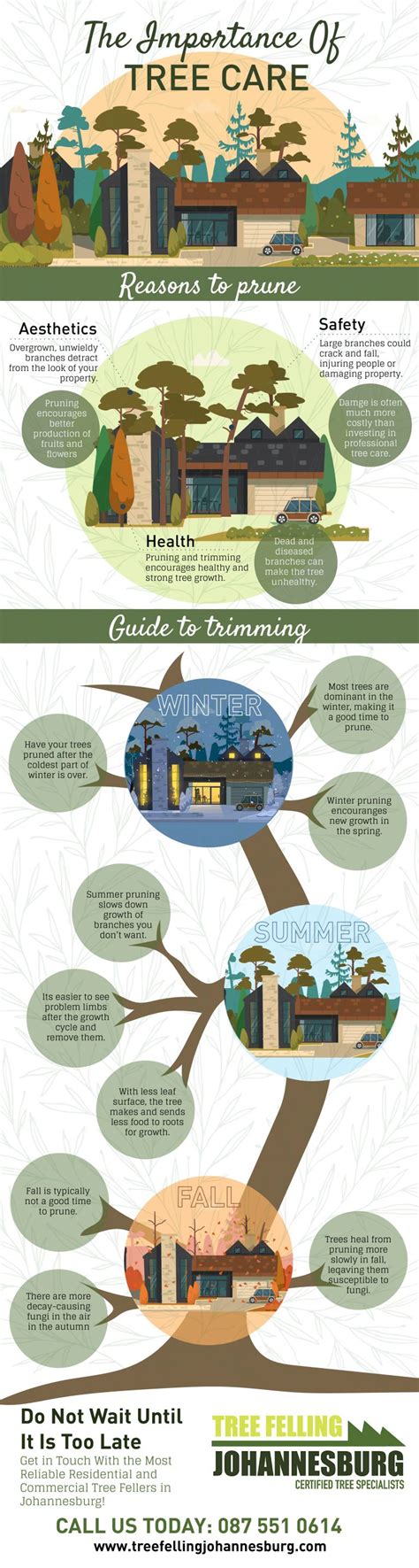 Benefits Of Caring For Trees Infographic Infographic Plaza