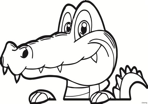 Alligator Coloring Pages Printable