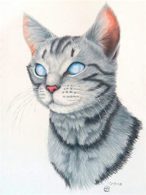 Draw the cat's face and ears, copying the shapes shown here as closely as possible. Realistic cat tutorial (Crookedstar Drawing) | Warriors Amino