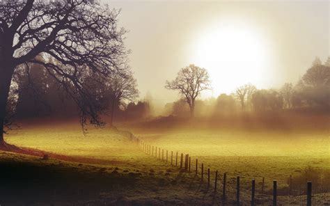 Field Morning Fog Fence Landscape Autumn Wallpaper 2560x1600 217086