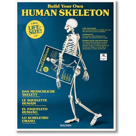 Human Skeleton Nature And Découvertes
