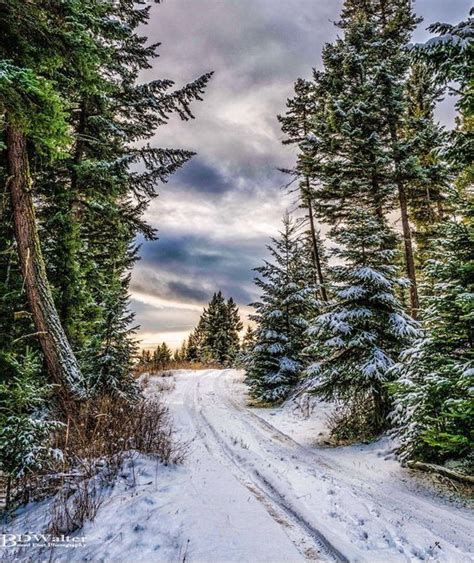Amazing Winter In Canada Pinterest