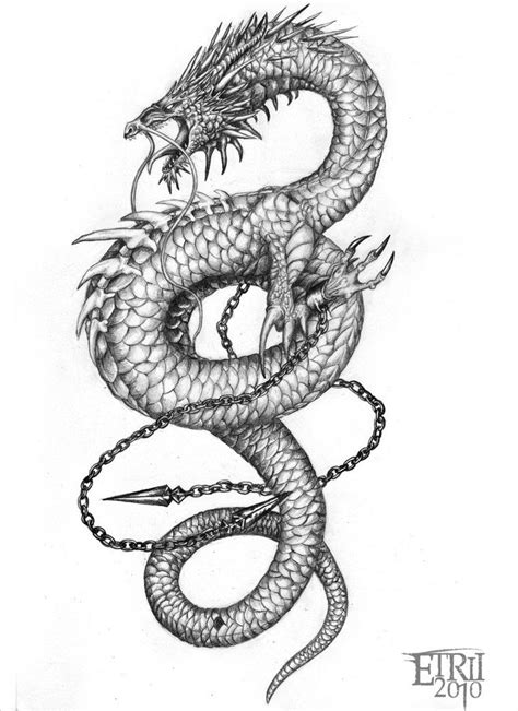 See more ideas about dragon, dragon tattoo, dragon tattoo designs. Pin on Dragons - of Asia and Ocean