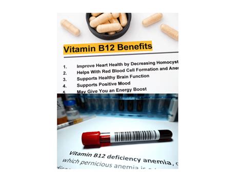 Vitamin B12 Deficiency In The Elderly