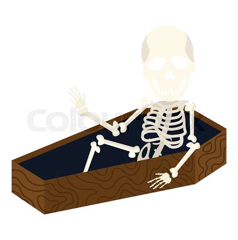 Skeleton Wake Up In Coffin Flat Stock Vector Colourbox