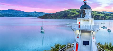 The Best Akaroa Summer Activities 2023 Free Cancellation Getyourguide