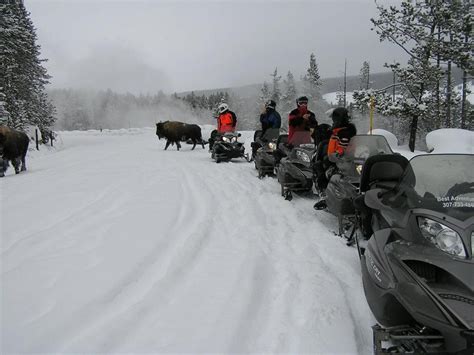 Snowmobile Trips In Yellowstone Jackson Hole Central Reservations